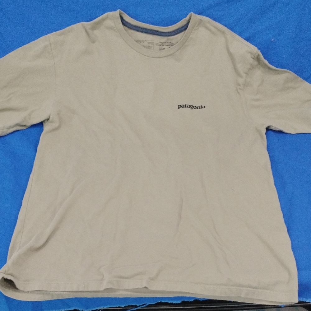 Patagonia Men's Beige T-Shirt